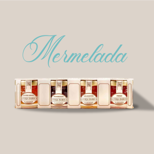 Mockup Mireia Sanchis 04